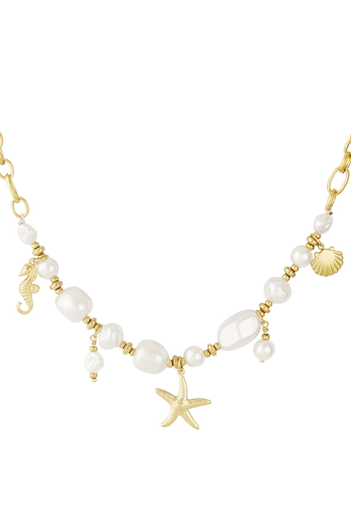 marine organism necklace