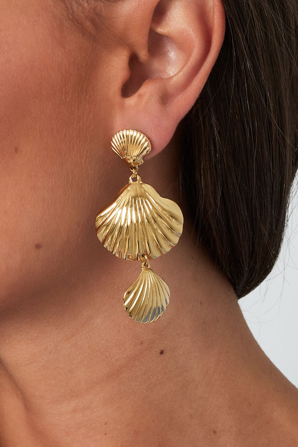 Trio shell Earrings